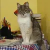 Отзыв от Галина Горюнова
